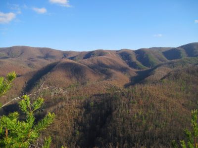 View From Longarm Ridge
The Big Pine Ridges and the Devil's Fork Valleys...can also see a good part of Sill Branch. 
November, 2010

