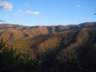 Descending Longarm Ridge
The Big Pine Ridges 
November, 2010
