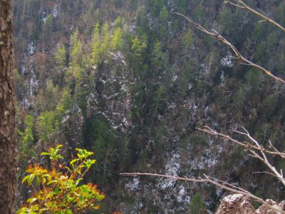 Whitehouse Mountain Cliffs
View of the sheer-sided Flint Mountain Cliffs
Rocky Fork Area,
December, 2010
