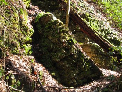 Buckeye Falls Trail
rock strata along trail,
2-26-2011
