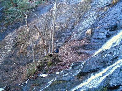 Buckeye Falls
Tyler on 'the island'...
2-26-2011
