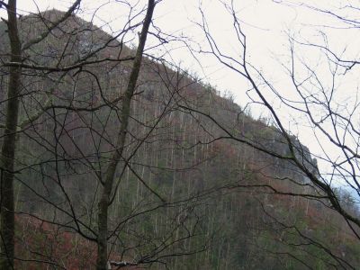 Profile of Whitehouse Mountain Cliffs
as viewed from the 'high road' on the Rocky Fork Trail,
3-5-2011
