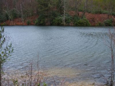 Pond On Higgins Ridge
Wind on the water...
3-5-2011
