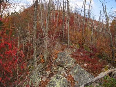 Big Pine Ridge Knob
Nearing the top,
Ascending Big Pine Ridge Knob.
October, 2011
