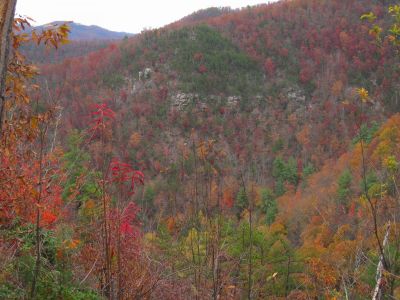 View Descending Big Pine Ridge Knob
The Bony Knuckle Knob
October, 2011
