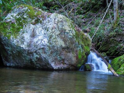 Cascades In Devils Fork
Boulder and Pool below Josiah Falls,
4-3-2011
