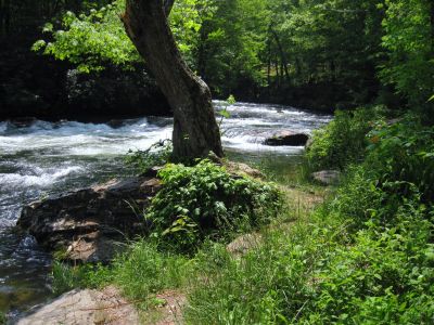 Nantahala River
North Carolina
May, 2011

