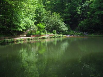 Reflection Pool
...below Amicalola Falls,
Amicalola State Park, Georgia,
May, 2011
