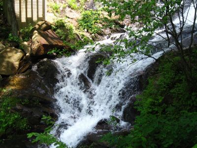 Cascades
Lower Part of Amicalola Falls,
Amicalola State Park, Georgia,
May, 2011
