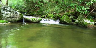 Harmon's Den
Creek...
5-15-2011
