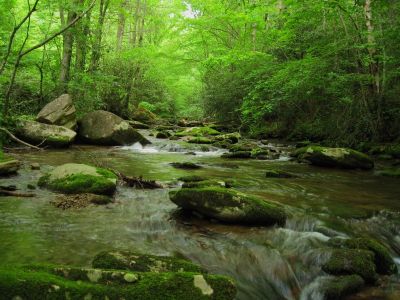 Harmon's Den
Creek...
5-15-2011
