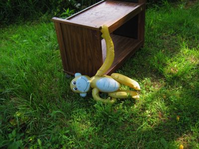 Random Monkey Photo
Damascus, VA
5-22-2011
