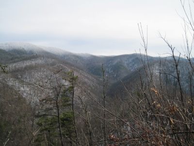Right Fork of Sill Branch
as seen from Big Pine Ridge Knob,
January 2010
