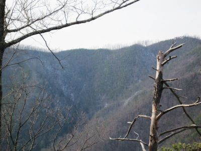 Sampson Mountain 
Part of the incredibly steep and rough Sampson Mountain as seen from Big Pine Ridge Knob.
January 2010
