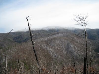 View of Sill Branch from Big Pine Ridge Knob
The 'Meatgrinder Ridge' with snow on top, and the middle ridge of the Sill Branch network.
January 2010
