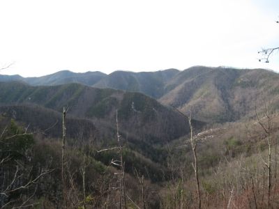 View from Big Pine Ridge
Sampson Mountain in the distance, and Longarm Ridge in the center...
January 2010
