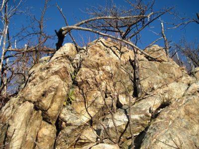 Rock Cliff Overlook on Big Pine Ridge
Part of the rock cliffs that overlook Devil's Fork.
January 2010
