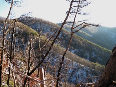 Big Pine Ridge
View of the upper forks of Devil's Fork from the Rock Cliffs Overlook.
January 2010
