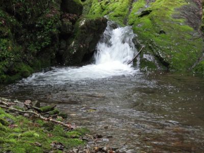 Cascades on Clarks Creek
...near where the old log bridge used to be.
2-24-2010
