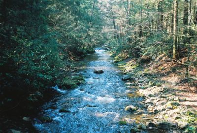 Clarks Creek
April 2009
