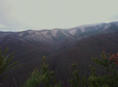 View From Longarm Ridge
Devil's Fork and Big Pine Ridges,
1-1-2010
