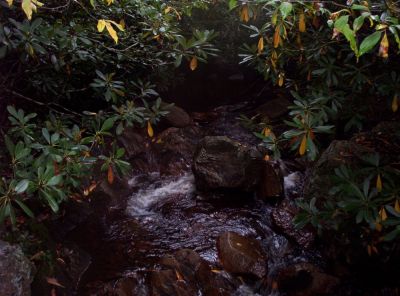 Little Wilson Creek Wilderness
Little Wilson Creek,
9-09
