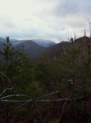 Longarm Ridge
leading up to the snow-topped Rich Mountain,
1-1-2010
