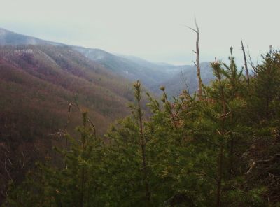 View From Longarm Ridge
The Longarm Valley, with Big Pine Ridge on the Left,
1-1-2010
