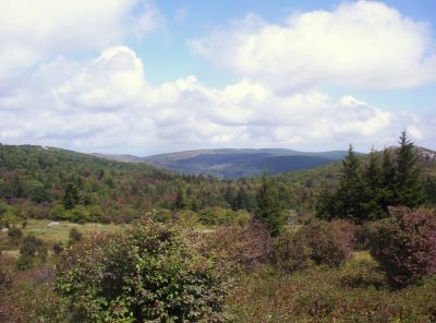 Wilburn Ridge
near Massie Gap,
9-09

