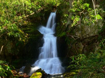 Coyote Falls
3-2-2017
