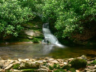 Beautiful Cascade
With Deep Pool 
Cherokee National Forest
6-17-2018
