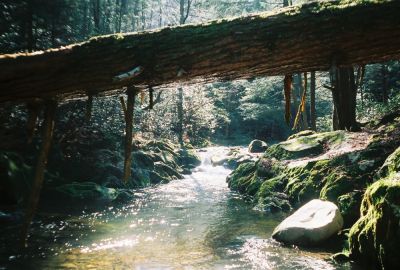 Swimming Hole
Swimming Hole in Clarks Creek where the Old Mill used to stand
