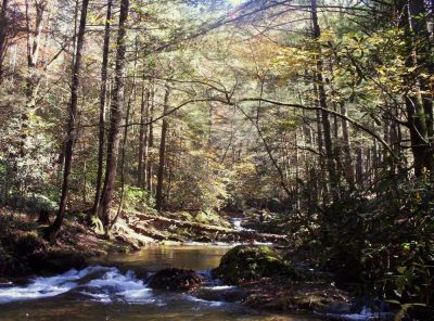 Swimming Hole
October 2009
