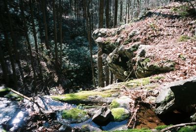Upper Sill Branch Falls
Standing on top of the 'upper' Sill Branch Falls on the North Fork
