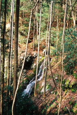 'Forgotten Falls'
Set of waterfalls above the 'upper' Sill Branch Falls (north fork)
