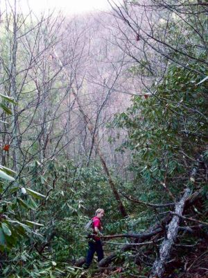 Bol'Dar on the Devils Fork trail
