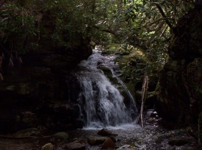 Cascades just above the Blue Hole Falls
August 2009
