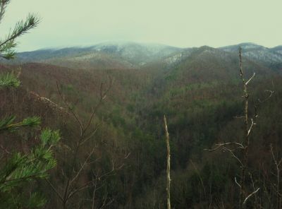 Longarm Ridge View
Rock spine of the 'Volcano', and the 'Pyramid' on Big Pine Ridge,and the snow-topped 'Meat-grinder' Ridge in distance.
January 1st, 2010
