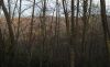 1270,_View_from_Gap,_Middle_Spring_Ridge_Trail,_12-3-2011.jpg