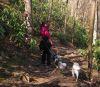 2160rszd__Debby_and_dogs___Margarette_Falls_Trail.jpg