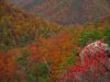 4466,_View_from_Sphinx,_Sill_Branch_Overlook,_10-31-2013.jpg