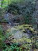 5954_clear_branch_falls_middle.jpg
