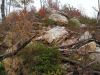 740,_Climbing_Big_Pine_Ridge_Knob,_10-2012.jpg