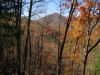 899,_Temple_Hill,_view_from_No_Business_Knob,_11-6-11.jpg