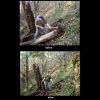 Rat_Patrol_clearing_trail,_before_after,_10-09.jpg
